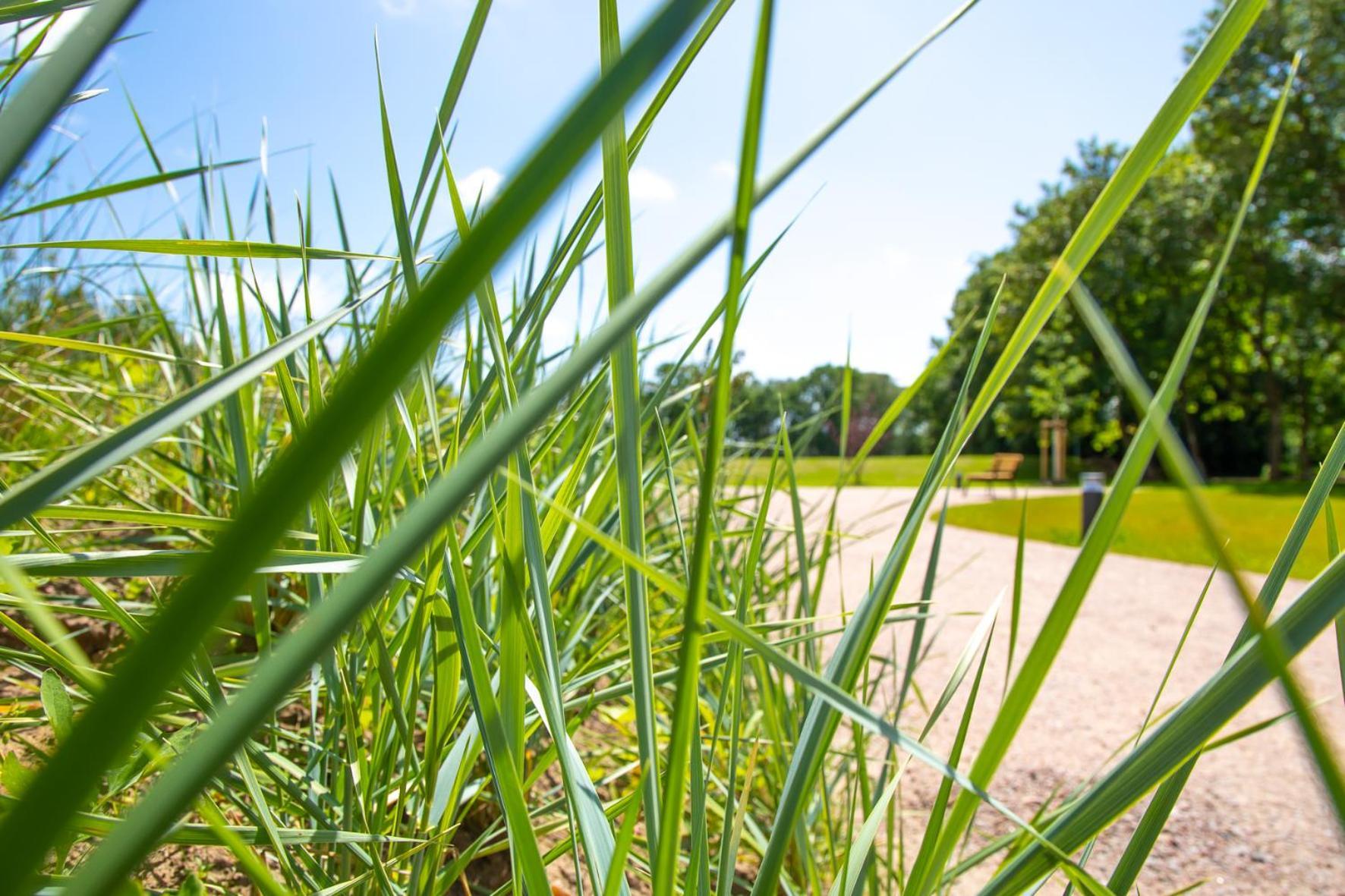 Wohnen Am Suedstrand - Ferienwohnung 0 4 Wyk auf Föhr Buitenkant foto