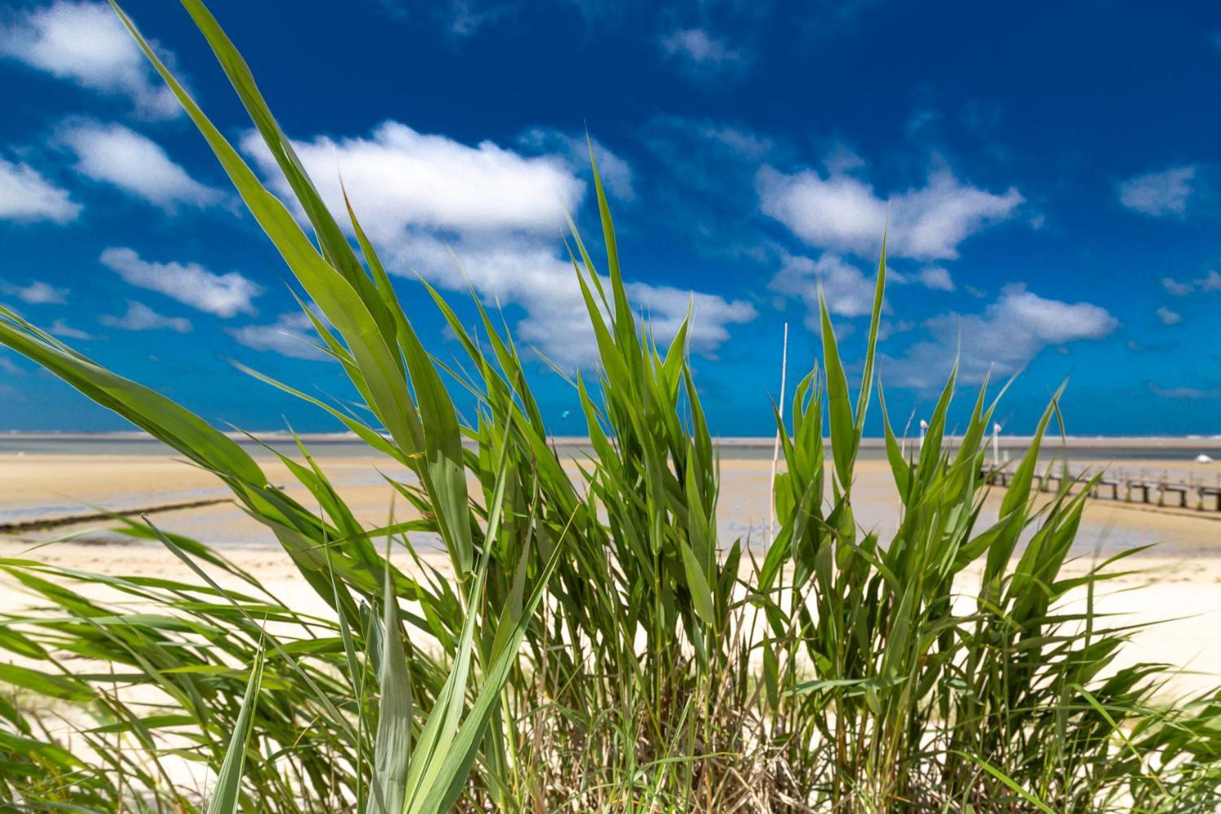 Wohnen Am Suedstrand - Ferienwohnung 0 4 Wyk auf Föhr Buitenkant foto