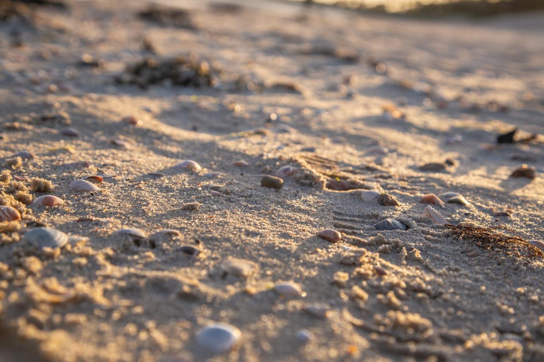 Wohnen Am Suedstrand - Ferienwohnung 0 4 Wyk auf Föhr Buitenkant foto